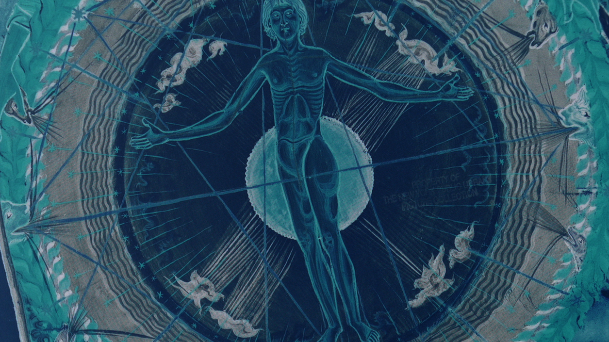 Screenshot from the video "Colony Collapse Disorder" by the band Mystical Weapons.