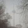 A woman wears a mask while walking in a park near the China Central Television Tower, background, on a hazy day in Beijing. The elderly, children and those suffering from respiratory and cardiovascular diseases are advised to stay indoors to reduce exposure to polluted air.
