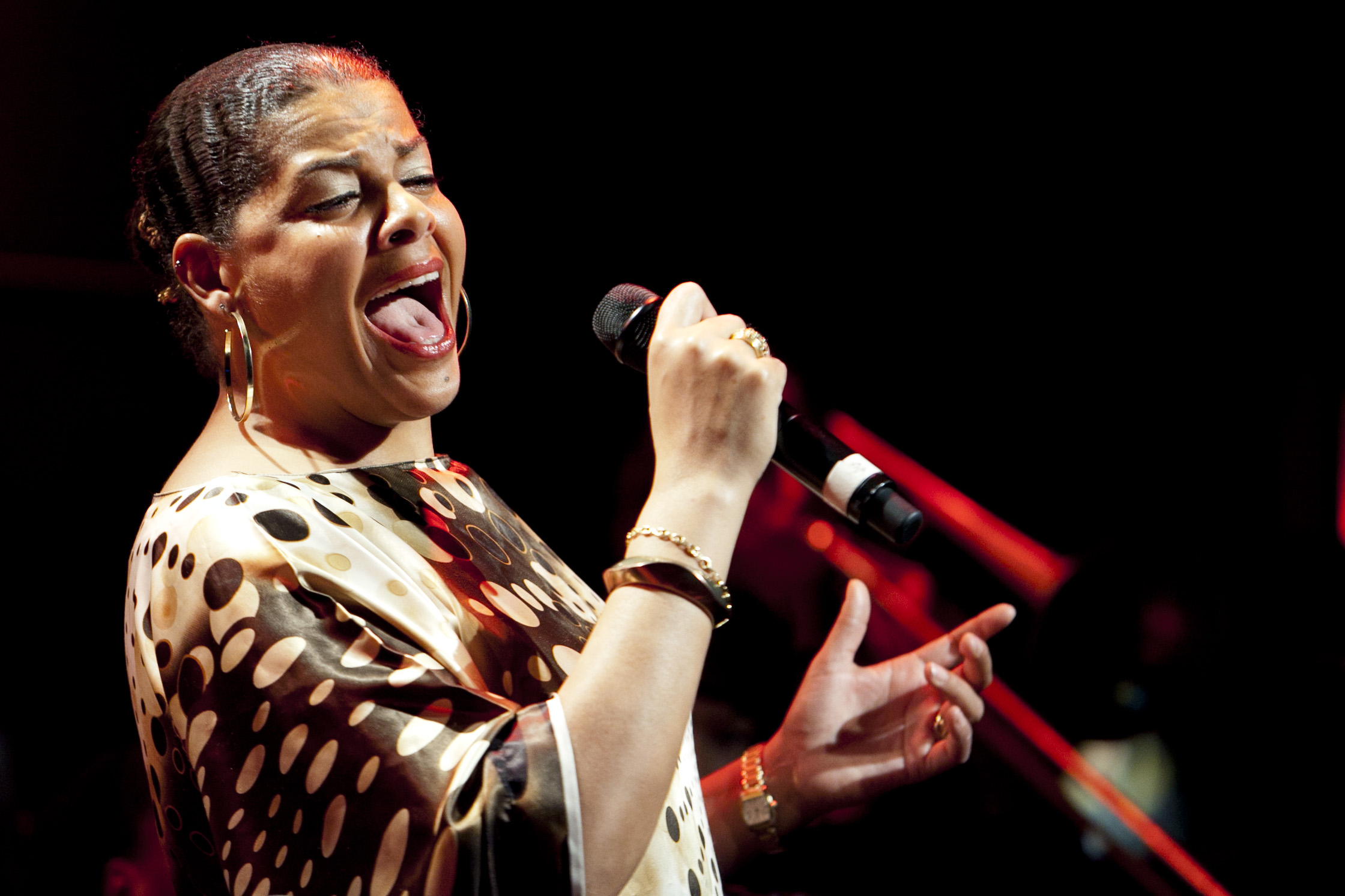 Christelle Durandy was on hand for an act called "Celebrate The Great Women of Blues and Jazz," conceived by Toshi Reagon and Allison Miller.