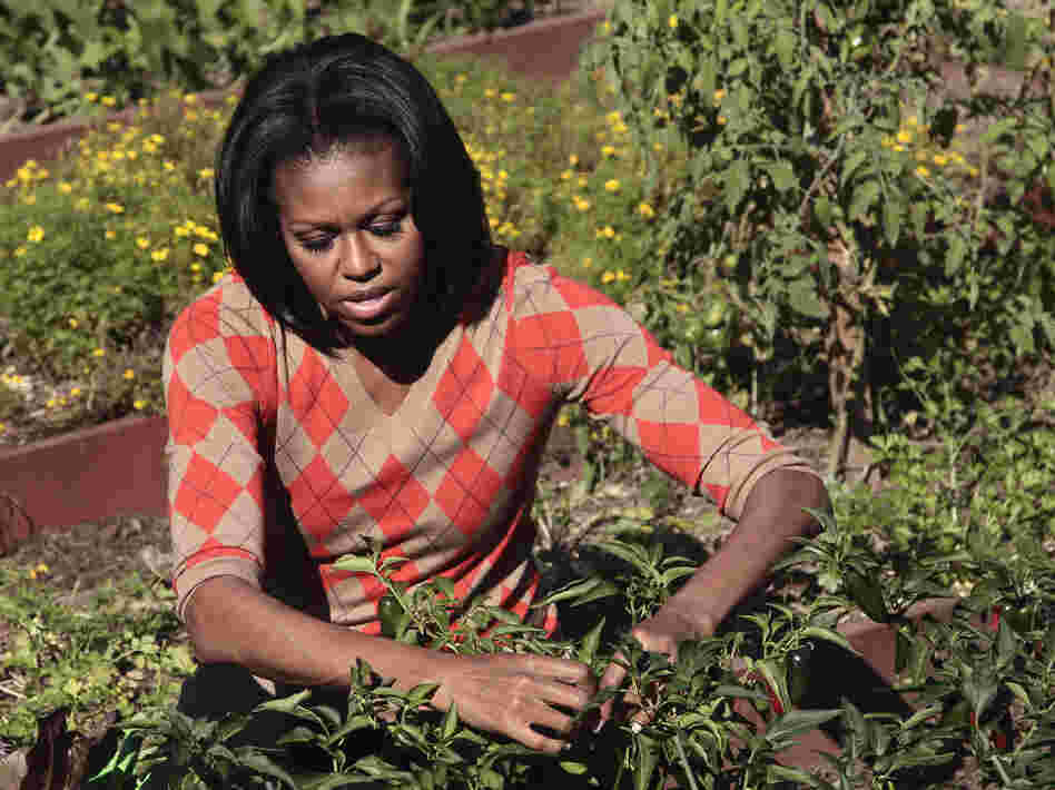 First lady Michelle Obama tends to the presidential garden during the third annual White House kitchen garden fall harvest in October 2011. The last vegetable garden planted at the White House was Eleanor Roosevelt's victory garden. Photo: Pablo Martinez Monsivais/AP First lady Michelle Obama tends to the presidential garden during the third annual White House kitchen garden fall harvest in October 2011. The last vegetable garden planted at the White House was Eleanor Roosevelt's victory garden. Photo: Pablo Martinez Monsivais/AP