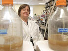 Microbiologist Emma Allen-Vercoe invented the Robogut, a mechanical device that mimics conditions in the human colon. Microbiologist Emma Allen-Vercoe invented the Robogut, a mechanical device that mimics conditions in the human colon.