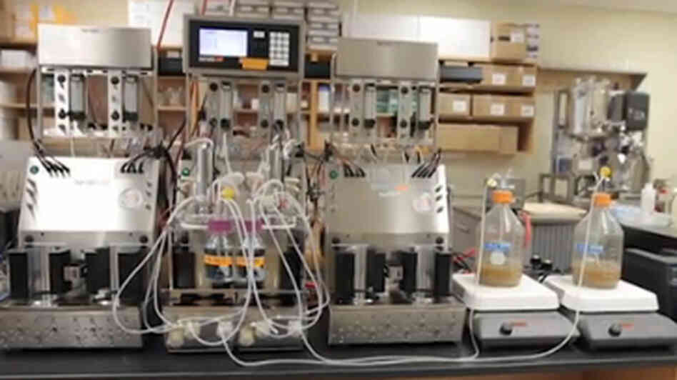 The Robogut, developed at the University of Guelph, can grow up a whole the bacteria that thrive in your gut. Many of these bugs won't grow in any other laboratory in the world.