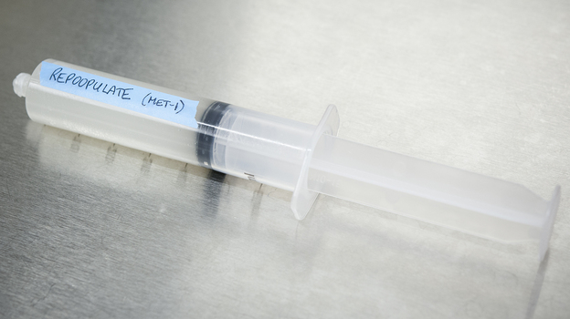 A stool substitute, called RePOOPulate, aims to replace  dangerous pathogens in the gut with a healthy community of bacteria.