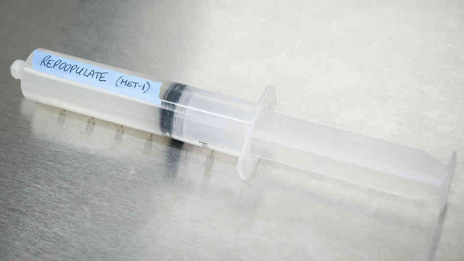 A stool substitute, called RePOOPulate, aims to replace  dangerous pathogens in the gut with a healthy community of bacteria.