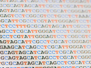 Each strand of DNA is written in a simple language composed of four letters: A, T, C and G. Your code is unique and could be used to find you.