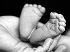 Baby feet held in parent's hand. Baby feet held in parent's hand.