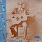 Blind Willie McTell cover Blind Willie McTell cover