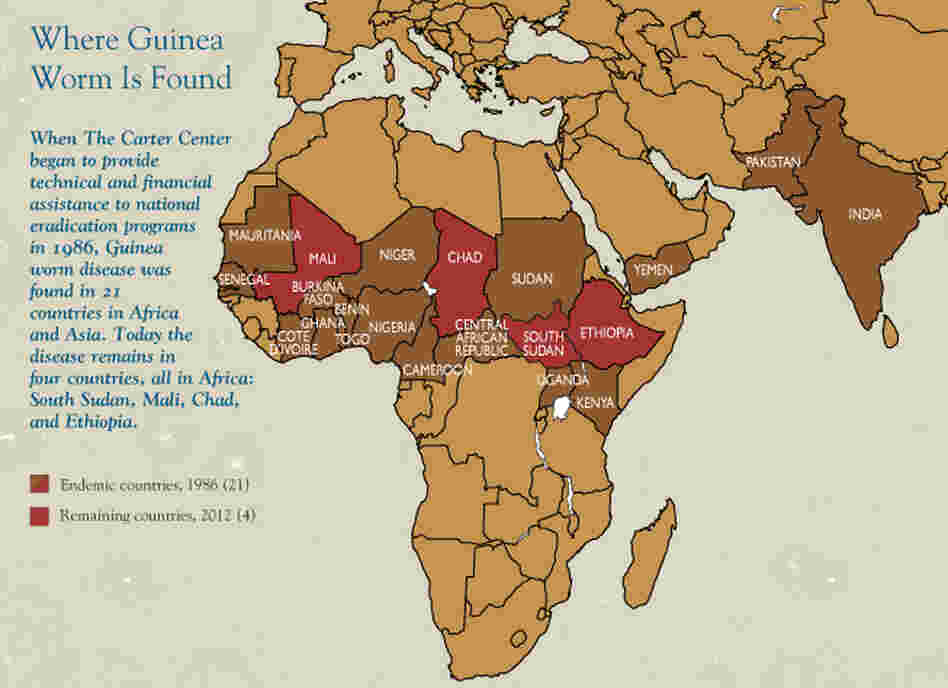 Seventeen countries have eliminated the Guinea worm parasite since 1986. Four countries remain: Mali, Chad, South Sudan and Ethiopia. Seventeen countries have eliminated the Guinea worm parasite since 1986. Four countries remain: Mali, Chad, South Sudan and Ethiopia.