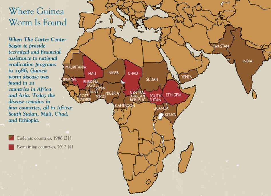 Seventeen countries have eliminated the Guinea worm parasite since 1986. Four countries remain: Mali, Chad, South Sudan and Ethiopia. Seventeen countries have eliminated the Guinea worm parasite since 1986. Four countries remain: Mali, Chad, South Sudan and Ethiopia.