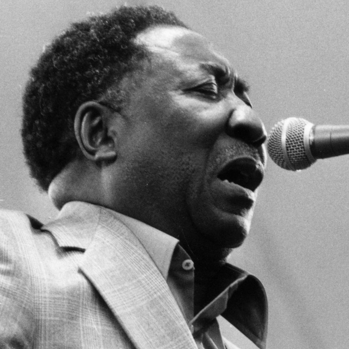 Muddy Waters, c. 1979.