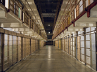 Prison provides an opportunity for networking with more seasoned criminals. Prison provides an opportunity for networking with more seasoned criminals.