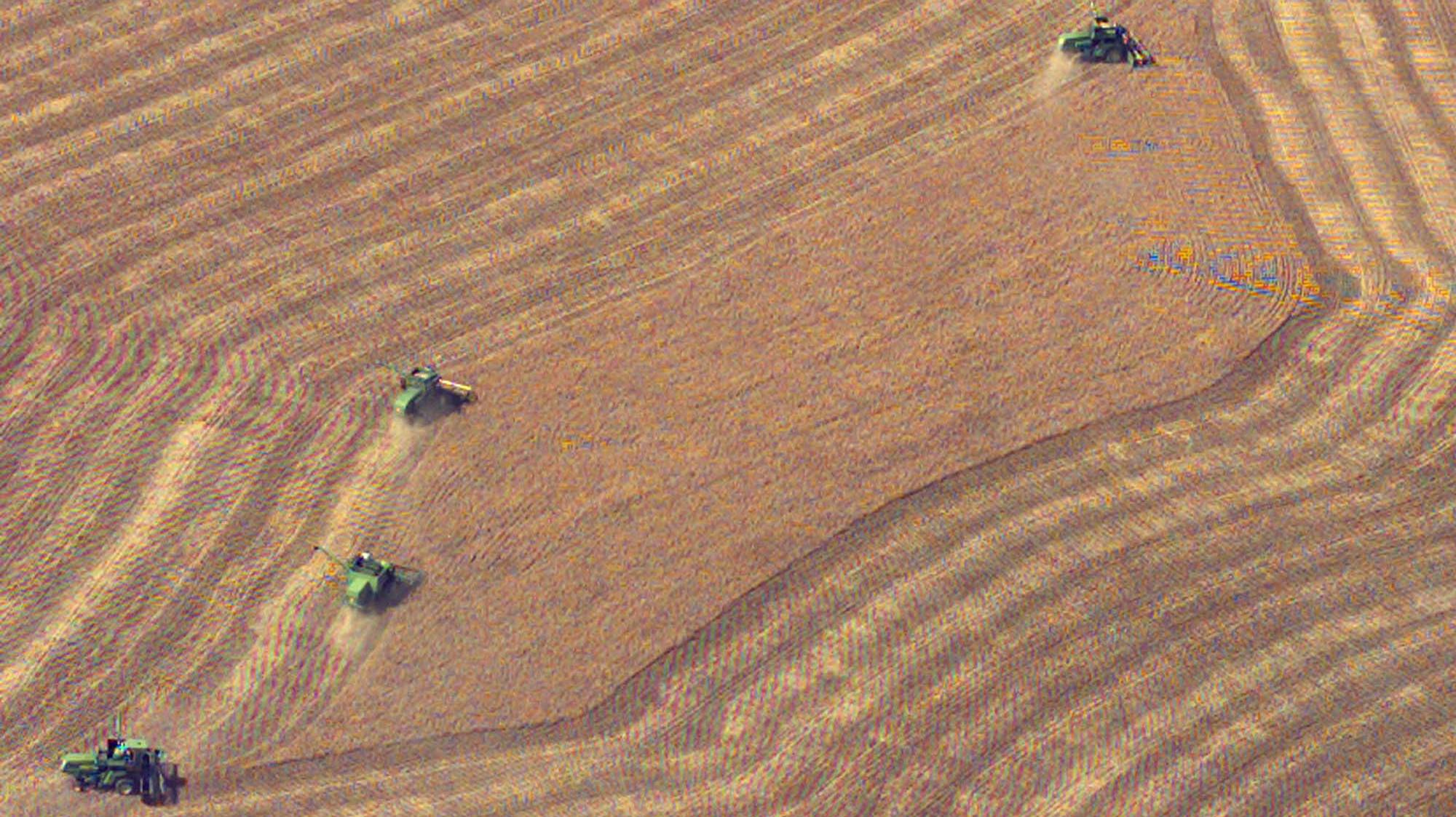 Harvest wheat from a field near Wright, Kan. May 10, 2004.