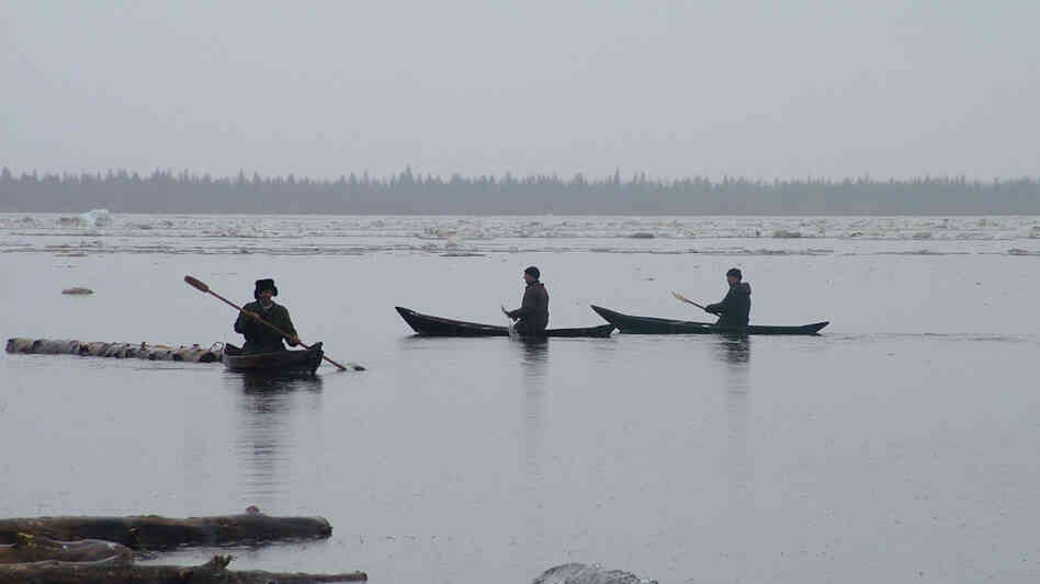 The simple, rough-edged lives of the Russian villagers in Werner Herzog's documentary Happy People: A Year in the Taiga make for a rhythmic study of ancient natural harmonies. The simple, rough-edged lives of the Russian villagers in Werner Herzog's documentary Happy People: A Year in the Taiga make for a rhythmic study of ancient natural harmonies.