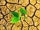 There's a bright side to droughts. There's a bright side to droughts.