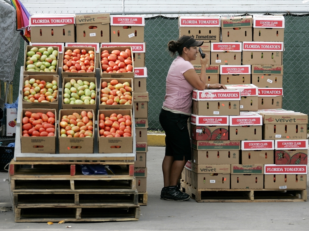 Boxes of tomatoes are for sale in an open air market in Immokalee, Fla.