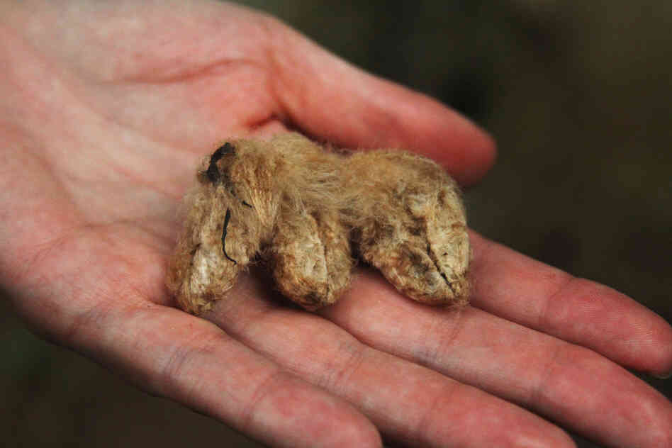 The community clean and stitch up wounds with cotton fibers.
