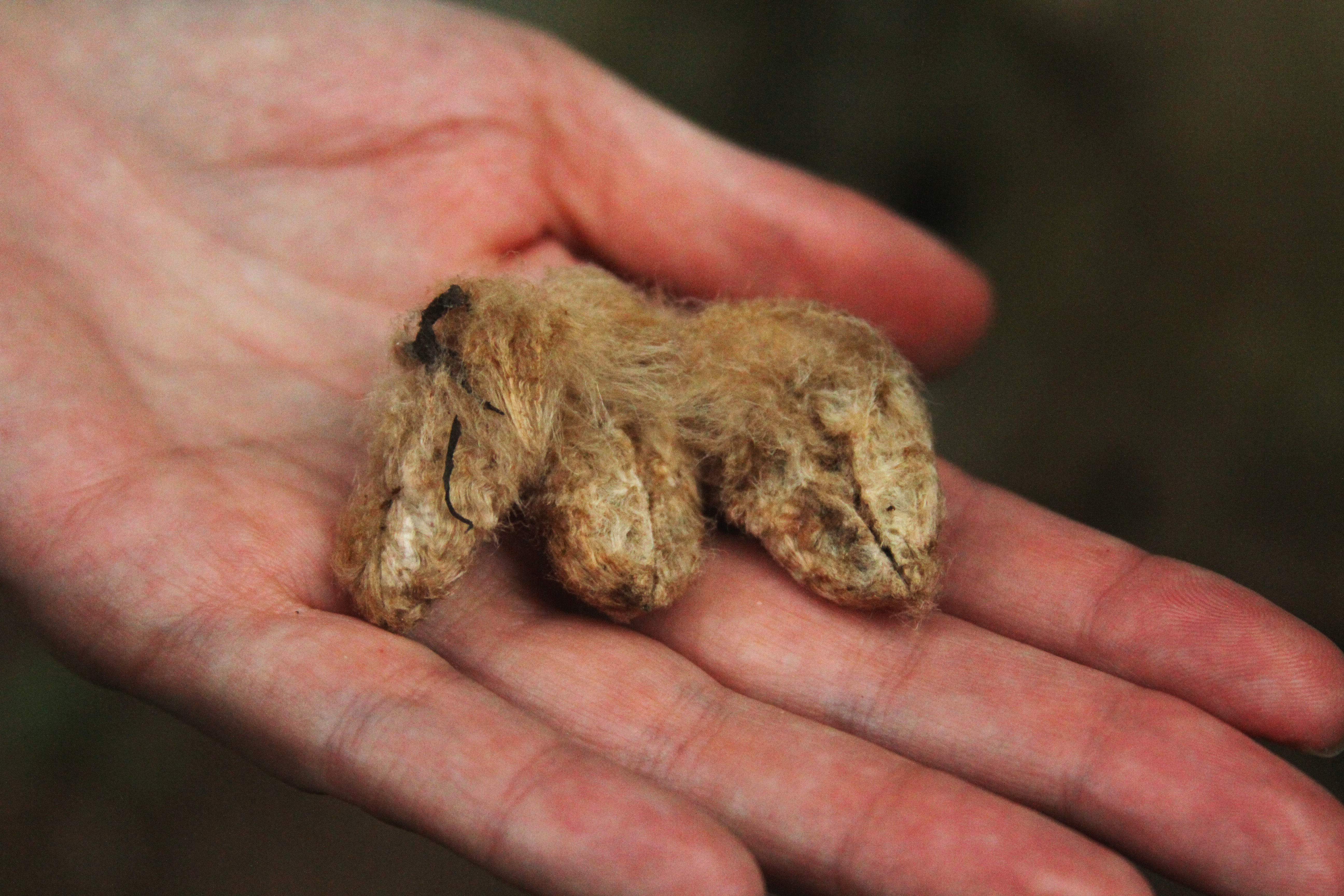 The community clean and stitch up wounds with cotton fibers. The community clean and stitch up wounds with cotton fibers.