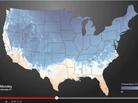 An image from the animated look at how cold air has spread over the nation. An image from the animated look at how cold air has spread over the nation.