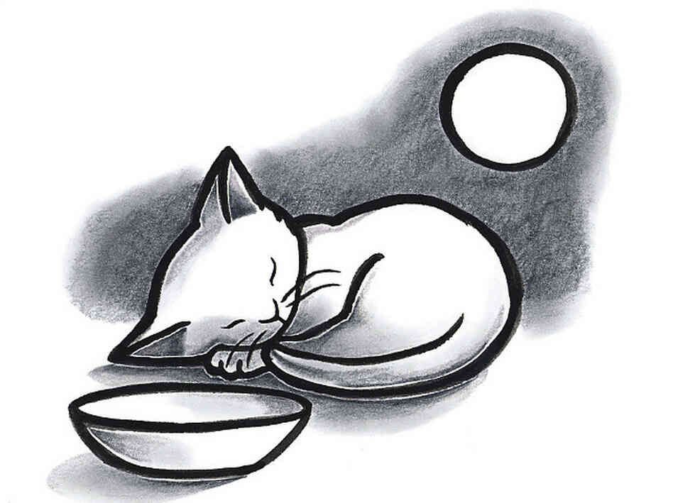 Kevin Henkes won in 2005 for Kitten's First Full Moon.