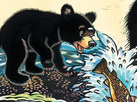 'This Is Not My Hat' Wins Caldecott Medal For Picture Book Artistry