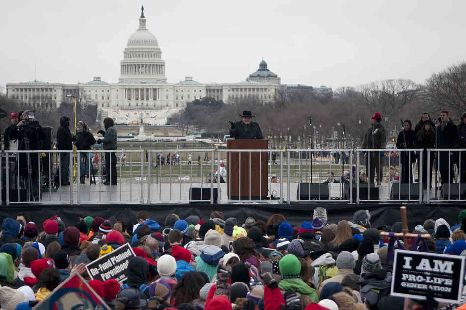 The rally's MC Jim Suthard speaks to a crowd of thousands held days after the 4oth anniversary of Roe vs. Wade