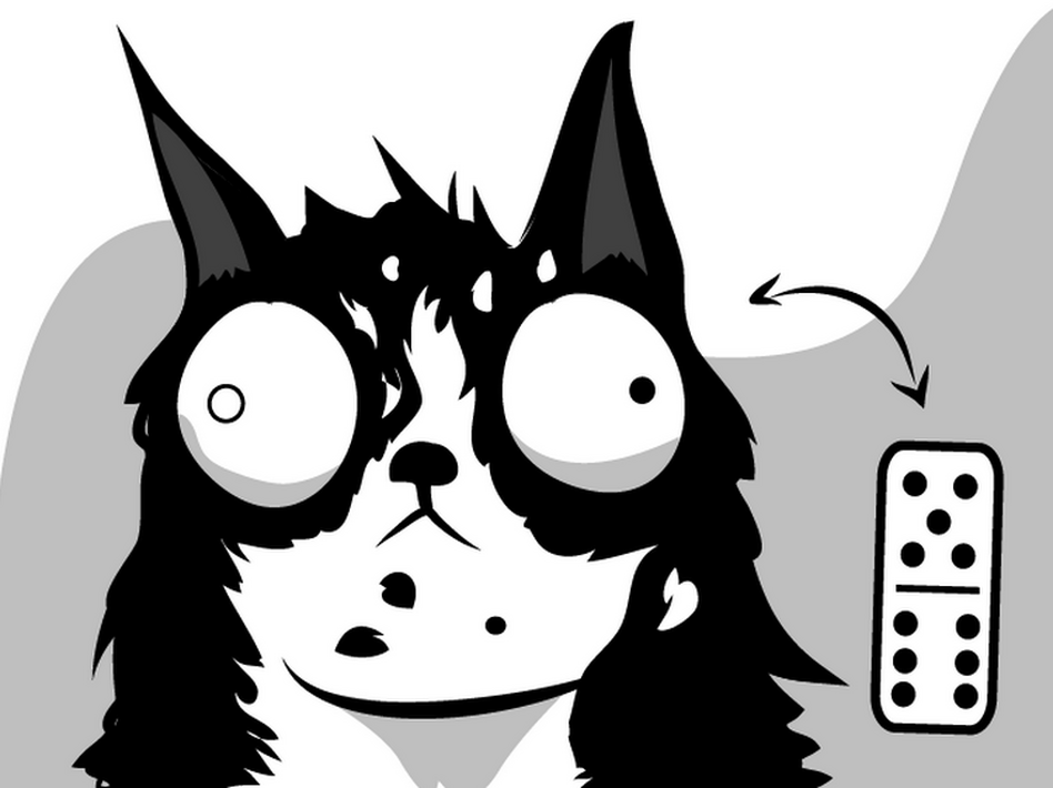Domino the cat.