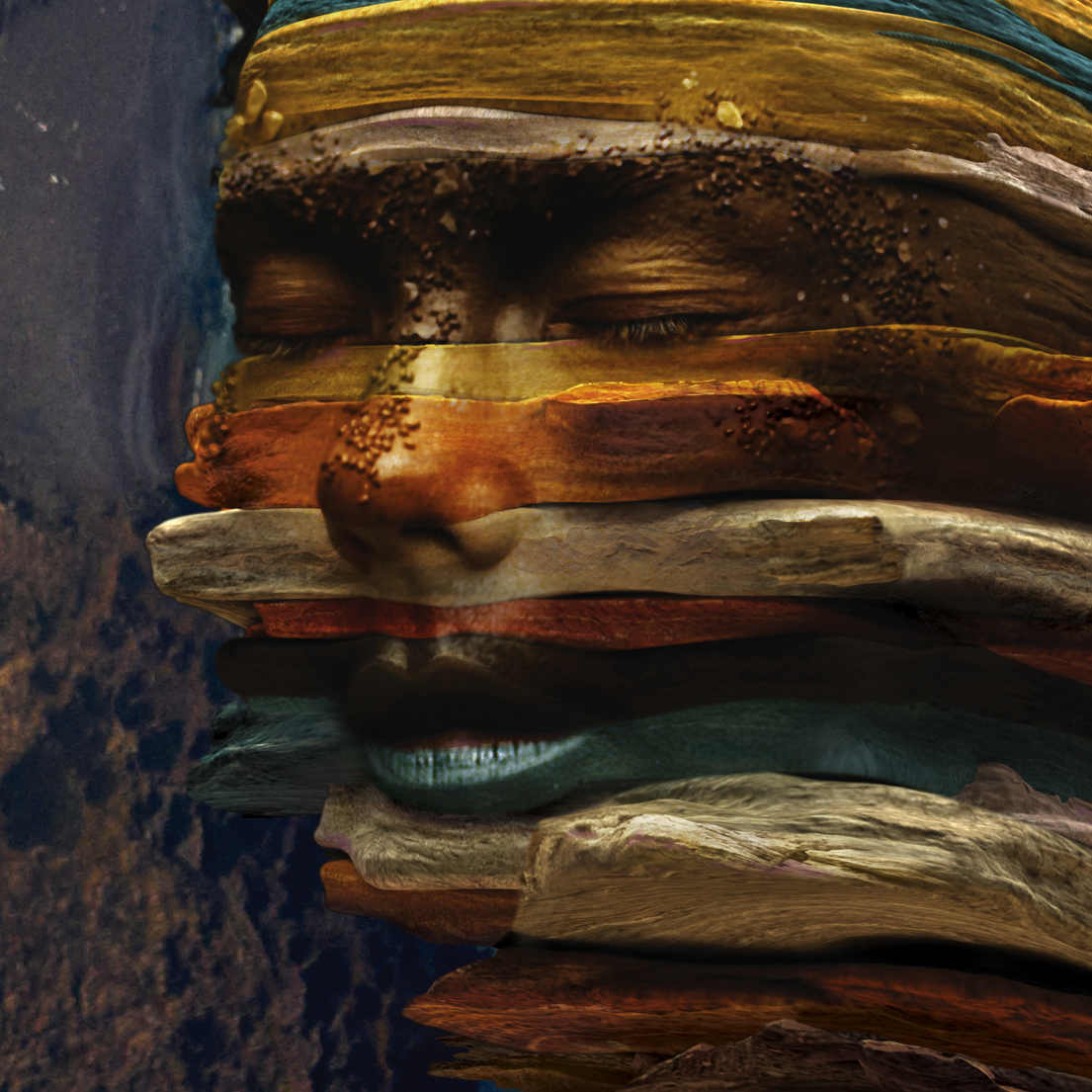 Bjork, from the cover art to her Biophilia remix project.