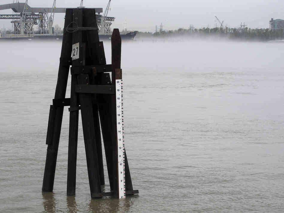 The Mississippi River is flowing at near normal levels again in New Orleans, as measured by this old-fashioned staff gauge behind the U.S. Army Corps of Engineers New Orleans District office. The Corps has been fighting saltwater encroaching up the mouth of the Mississippi because of the persistent drought. The Mississippi River is flowing at near normal levels again in New Orleans, as measured by this old-fashioned staff gauge behind the U.S. Army Corps of Engineers New Orleans District office. The Corps has been fighting saltwater encroaching up the mouth of the Mississippi because of the persistent drought.