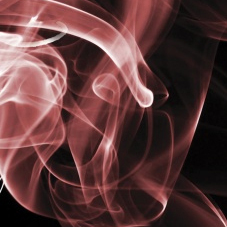 Cover of Scent of Darkness