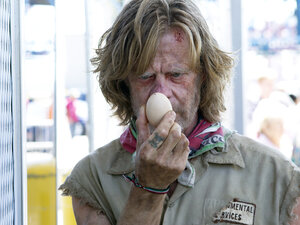 In Shameless, William H. Macy is the dysfunctional father of six.
