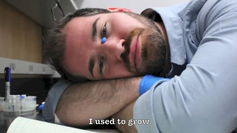 My Yeast Let Me Down: A Love Song