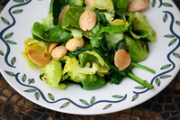Understanding The Brussels Sprout