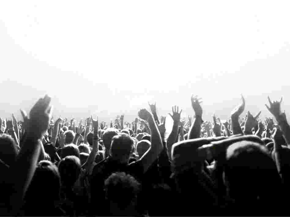 A crowd waving its hands.
