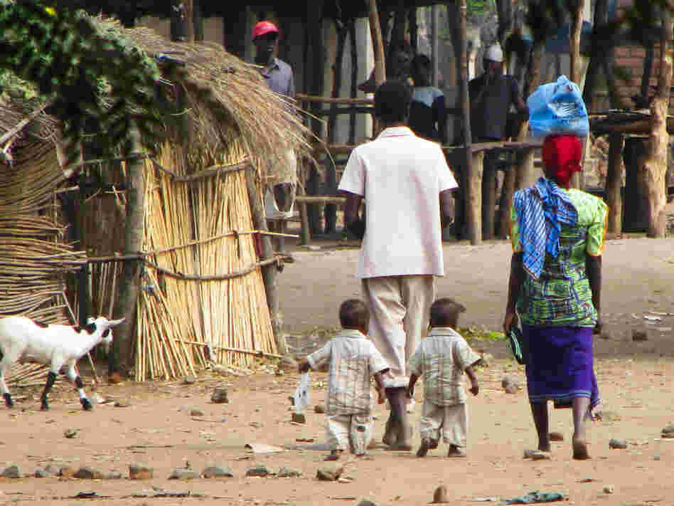 Researchers followed 300 sets of twins in Malawi for the first three years of their life. In many cases, only one twin developed severe malnutrition, while the other remained healthier.