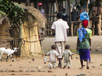 Researchers followed 300 sets of twins in Malawi for the first three years of their life. In many cases, only one twin developed severe malnutrition, while the other remained healthier.
