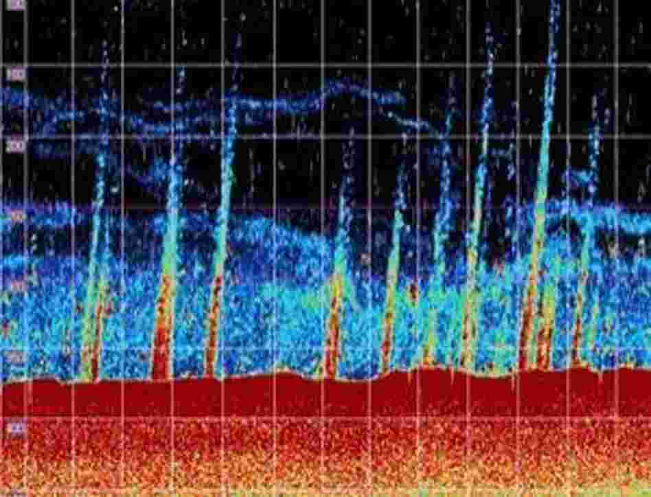 Methane plumes rising from the seafloor. Methane plumes rising from the seafloor.