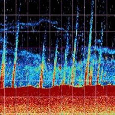 Methane plumes rising from the seafloor.