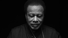 Wayne Shorter turns 80 this year. His newest album is called Without a Net. Wayne Shorter turns 80 this year. His newest album is called Without a Net.