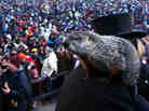 Punxsutawney Phil climbs on the shoulder of handler John Griffiths. The groundhog did not see his shadow during the 127th Groundhog Day Celebration in Punxsutawney, Pa., on Saturday.