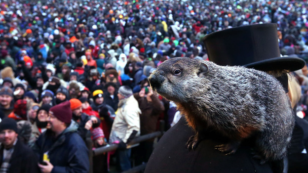 Punxsutawney Phil climbs on the shoulder of handler John Griffiths. The groundhog did not see his shadow during the 127th Groundhog Day Celebration in Punxsutawney, Pa., on Saturday.