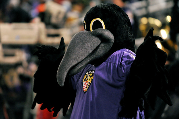 Poe, the mascot of the Baltimore Ravens, cheers on the team during the game against the Pittsburgh Steelers in December 2010.