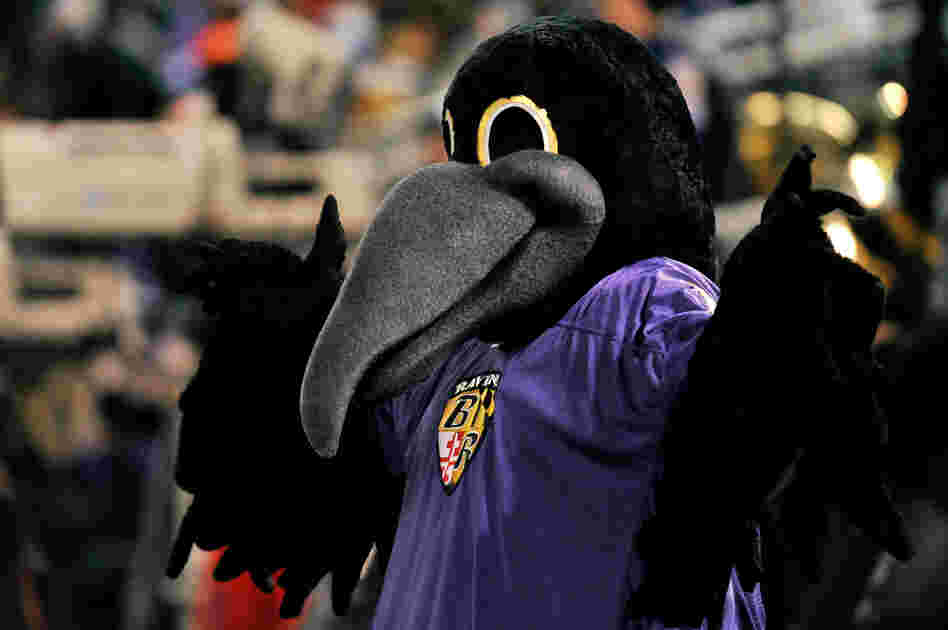 Poe, the mascot of the Baltimore Ravens, cheers on the team during the game against the Pittsburgh Steelers in December 2010.