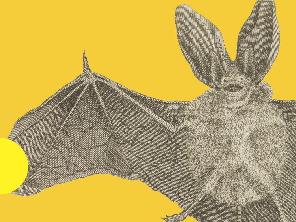 'Vampires' Isn't Sparkly — It's Magnificent