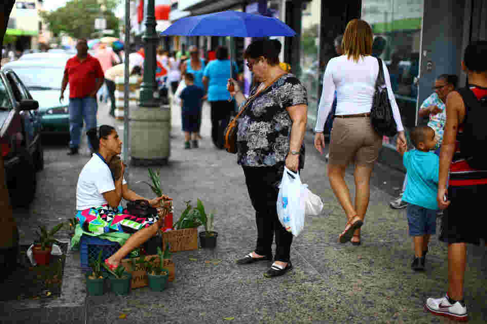 Mariluz Diaz Nieves sells orchids at an outdoor street market.