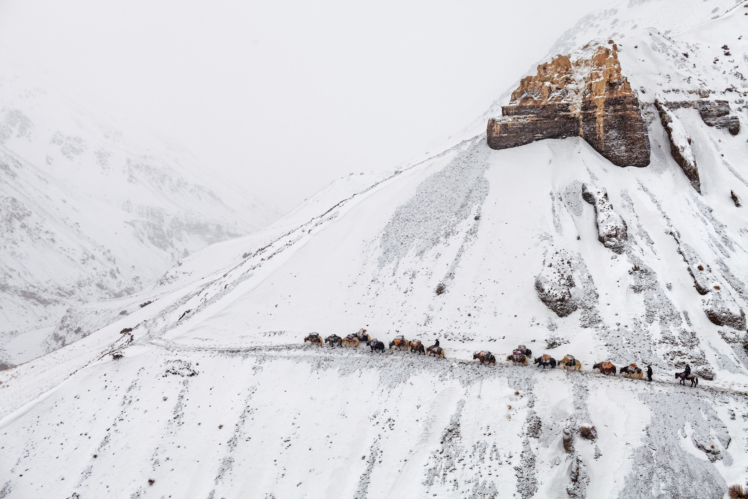 High above the tree line, a winter caravan of traders relies on sure-footed yaks to traverse a treacherous path down to a lower valley. At altitudes above 14,000 feet, winters in the Little Pamir last eight months or more, and snow can fall even in summer.