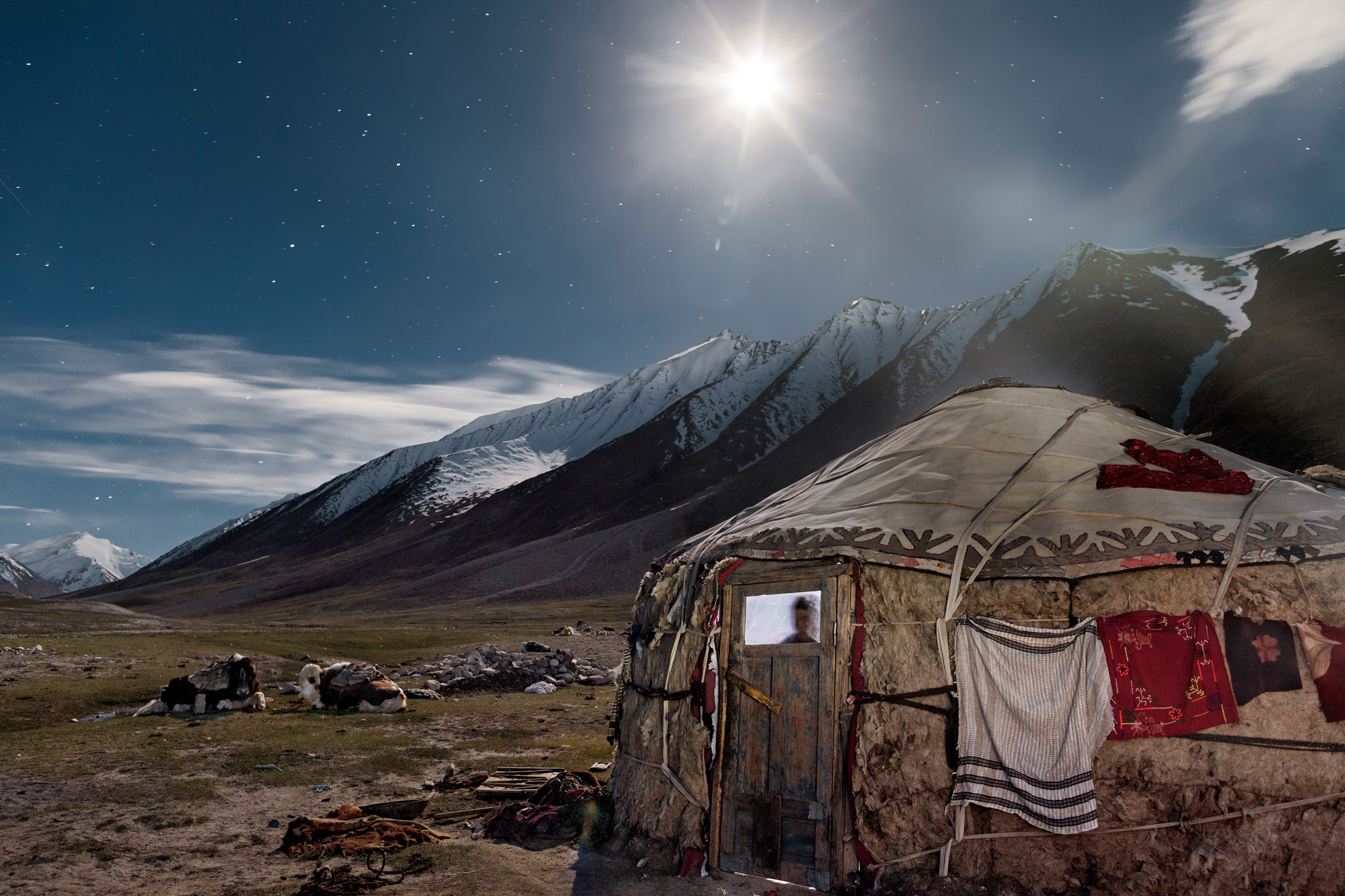 Blanket-draped yaks hunker down outside a young couple's yurt on the eve of a summer trading journey. Made of interlaced poles covered with felt, these portable homes are packed up and reassembled for seasonal migration. Wooden doors are imported to the treeless plateau from lower altitudes.