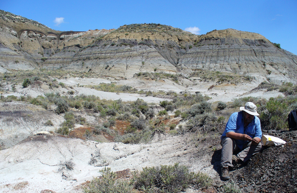 Geochronologist Paul Renne collects 66-million-year-old volcanic ash from a coal bed near Hell Creek, Mont.