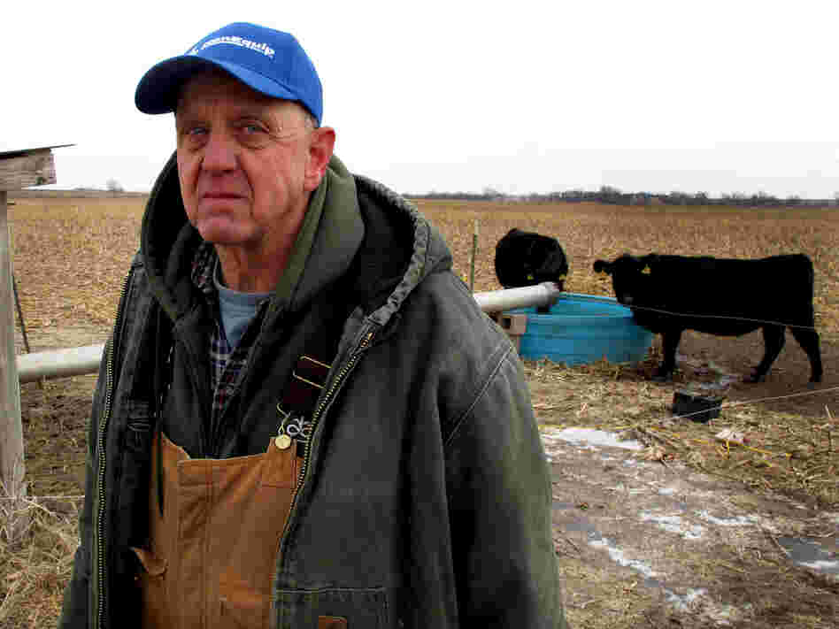 With irrigation severely restricted due to drought, Kansas farmer Mark Taddiken is worried about significant losses from reduced crop yields.