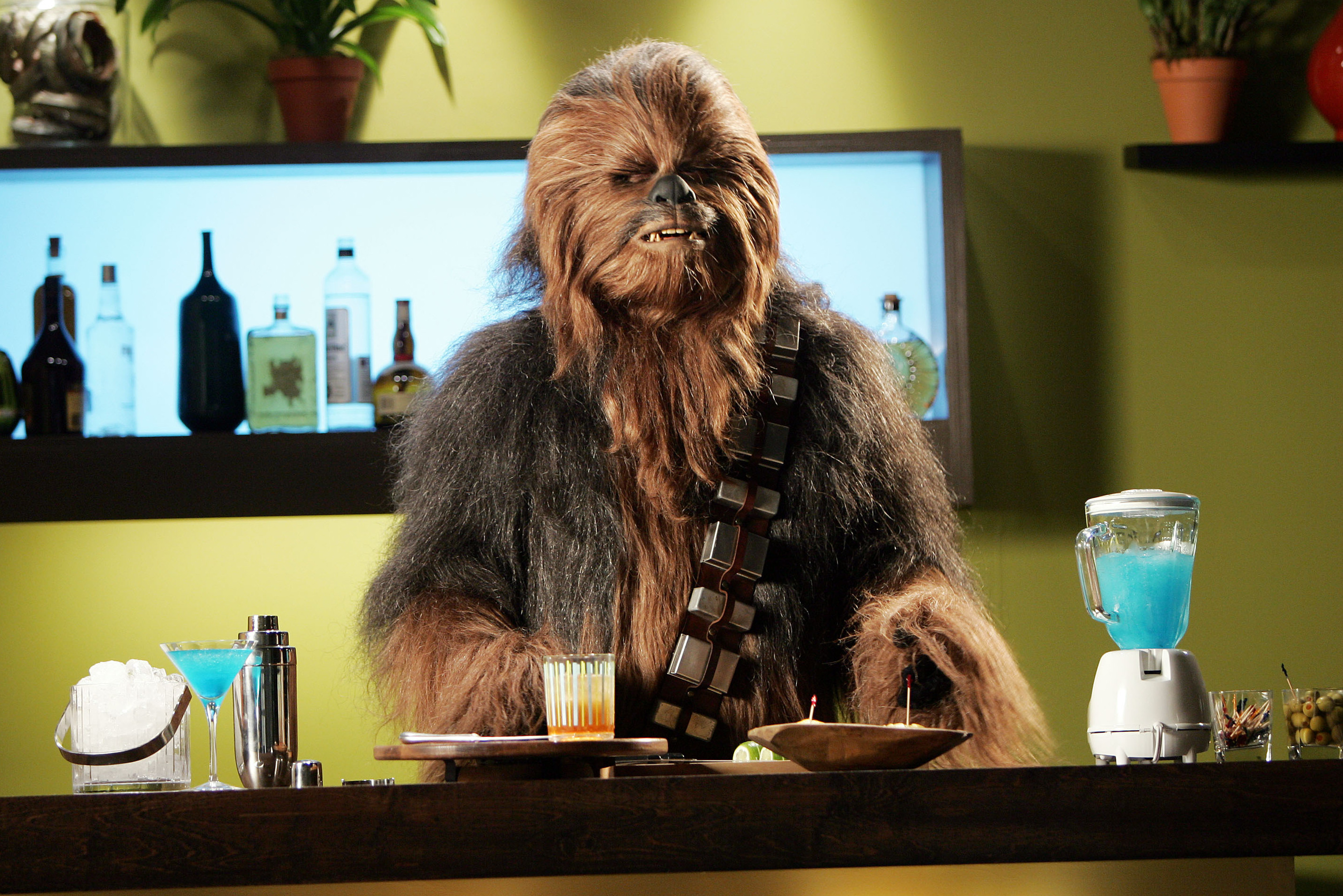 Chewbacca, the furriest of the Star Wars rebels that Freeborn helped create.
