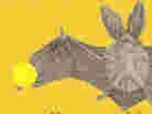 cover detail